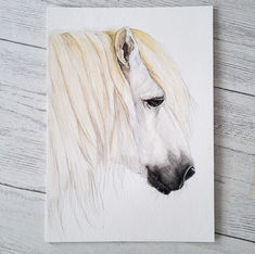 White pony watercolour portrait