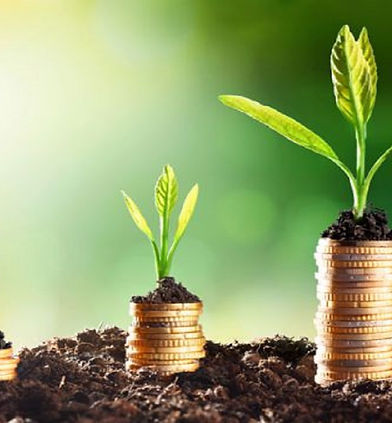 coins-growing-in-soil-economic-growth.jpg
