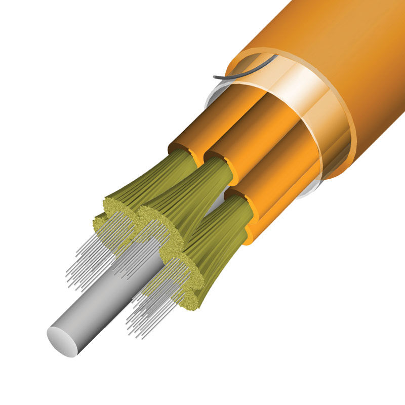 Sub-Unitized Premise MicroCore® 3.0 Base-12 | Coentel