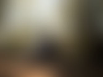 How To Operate With A Shelter-In-Place Order