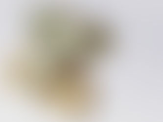 Productive and Profitable Practice Focus on Workflow