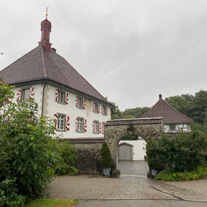 Liechtenstein Academy Foundation - Ein Schloss, eine Krone, Stärken und ich.