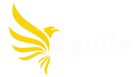 Aquila Advertising Logo white_edited.png