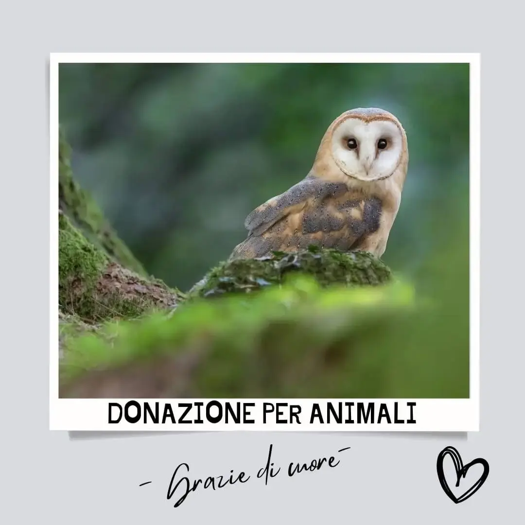 Donazione libera Oasi