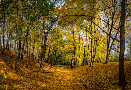 Preparing Your Commercial HVAC System for the Fall Season