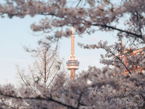 Your Commercial HVAC Spring Startup Checklist for GTA Buildings