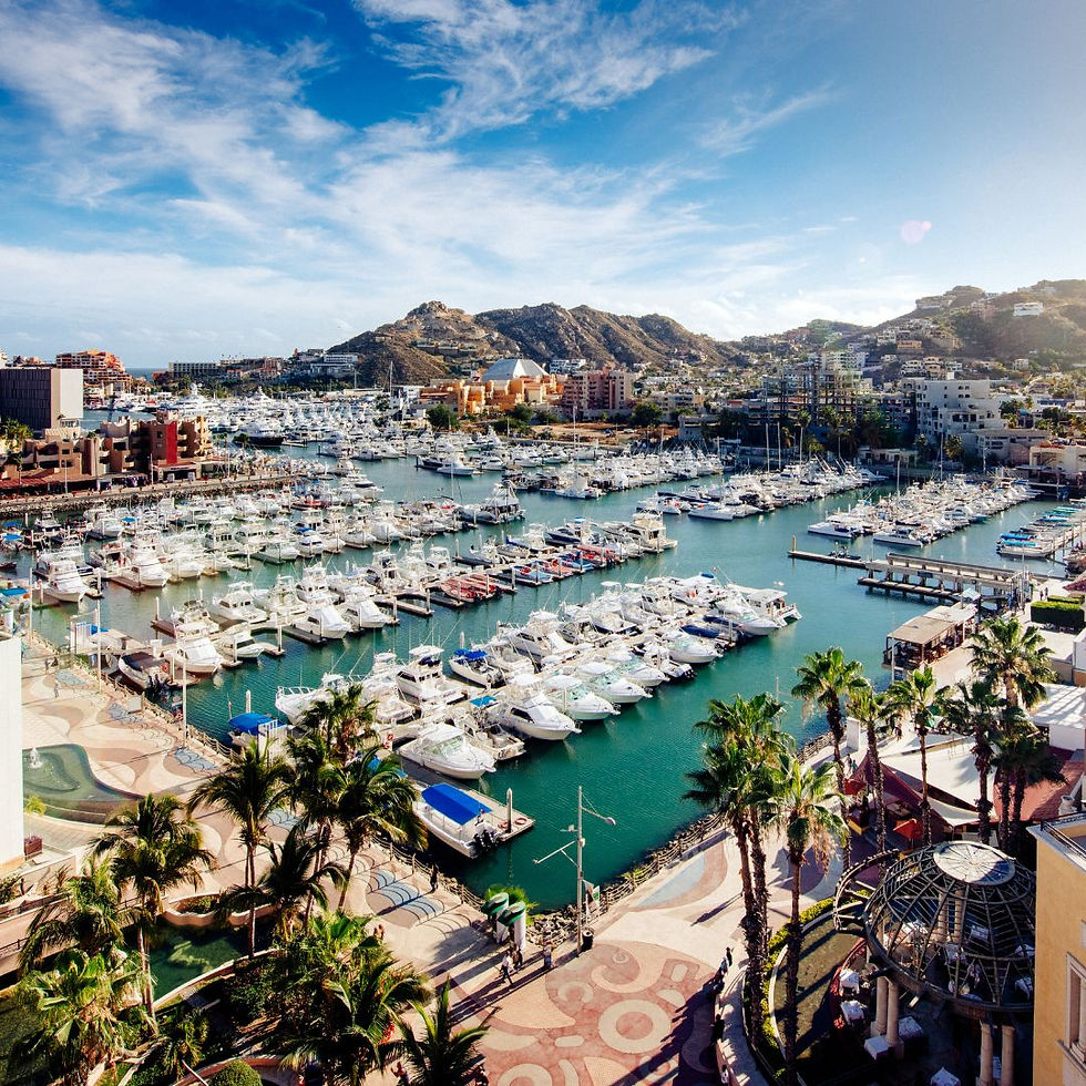 Aerial view of the Cabo San Lucas marina filled with sport fishing boats and yachts, surrounded by palm trees, resort buildings and arid hillside terrain.