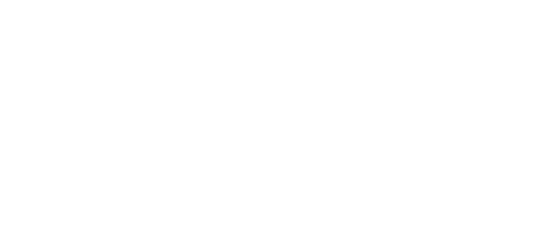 Air Charter Service.png