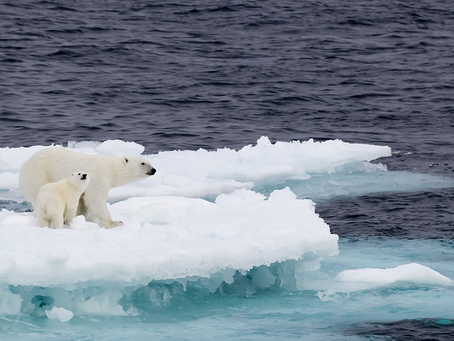 Climate Change: Are We Getting The Change?