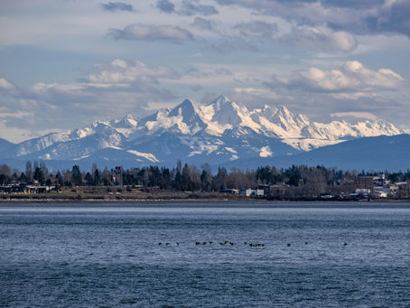 My Journey to Aspire: From Non-Profit Work to Career Coaching