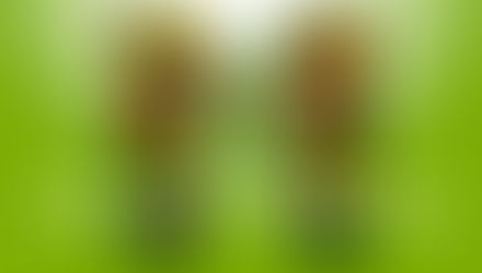 "SOMOS LO QUE COMEMOS"