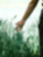person holding white dandelion flower_edited.jpg
