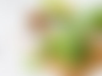 Here’s how to make a simple low-carb smoothie on a rapid weight loss program.