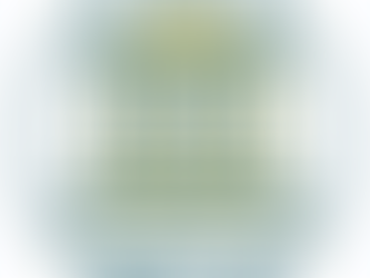 What does SOZA mean anyways?