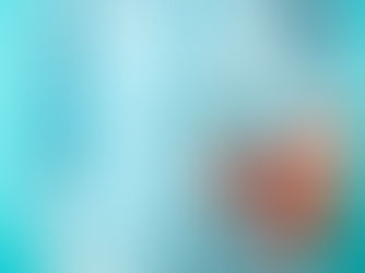 What can I drink on a rapid weight loss program?