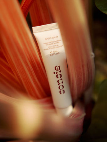 Basic Balm In Sugar-Dipped Rhubarb $22