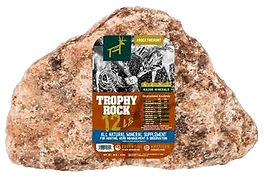 trophy rock_edited.png
