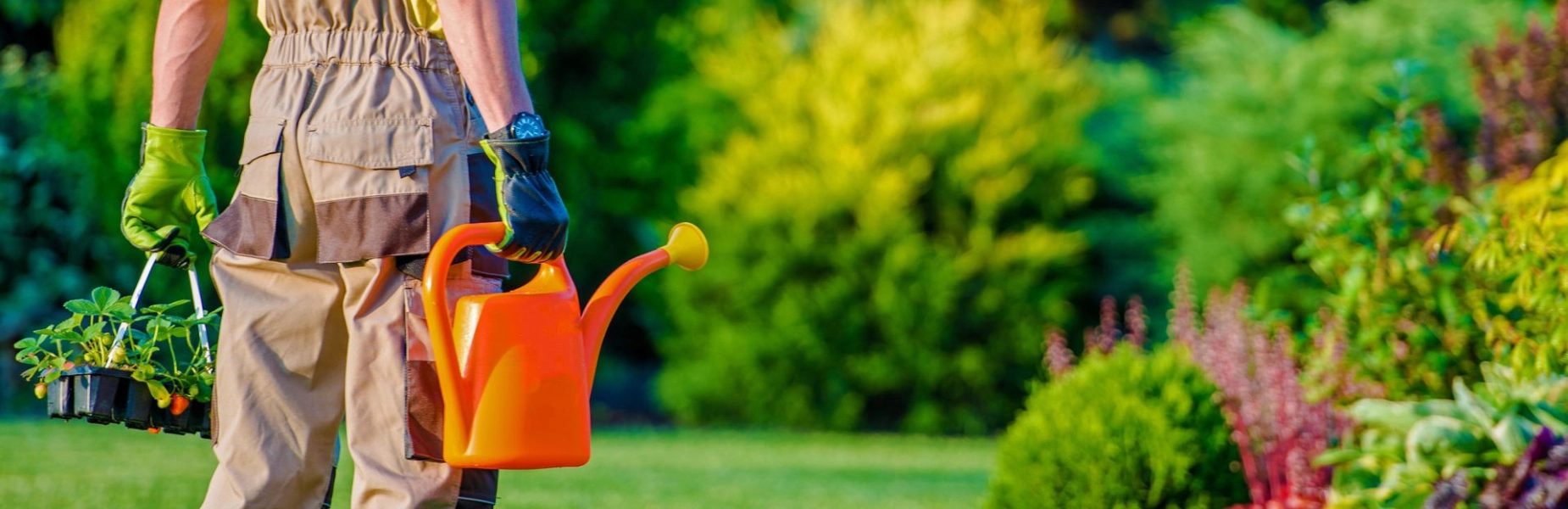 wallpaper jardinagem.webp