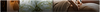 Banner header.png