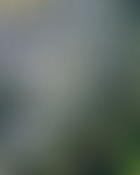 Remembering Theophilus Jones