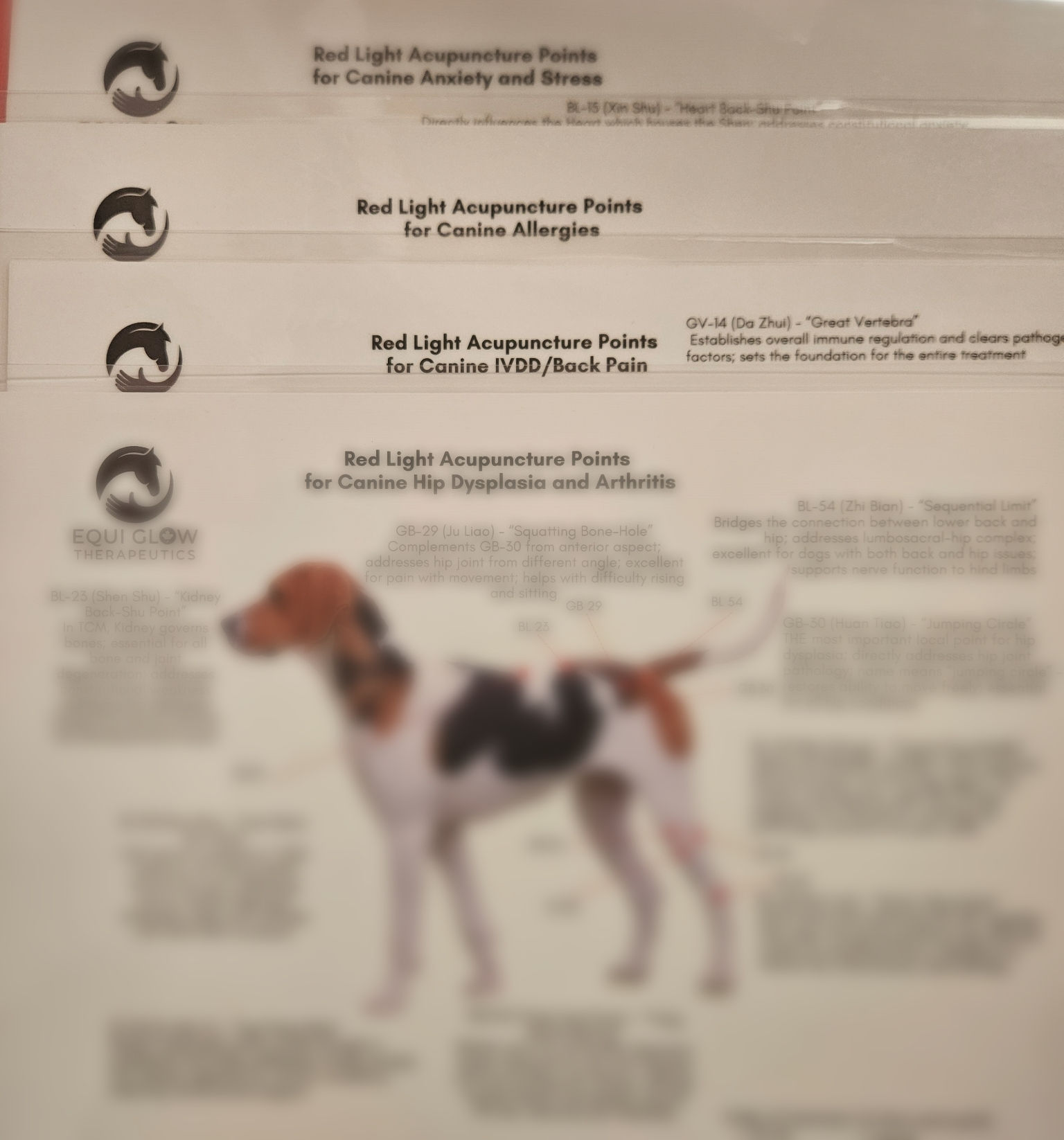 Canine Red Light Acupuncture Chart