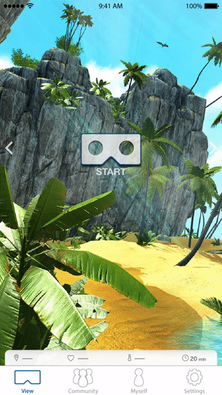Halcyon 009.gif