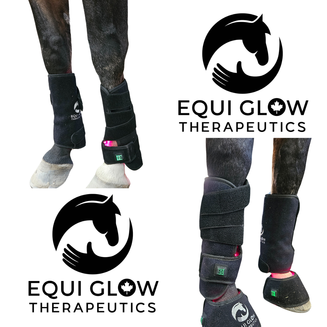 2.0 Leg Wraps (pair)