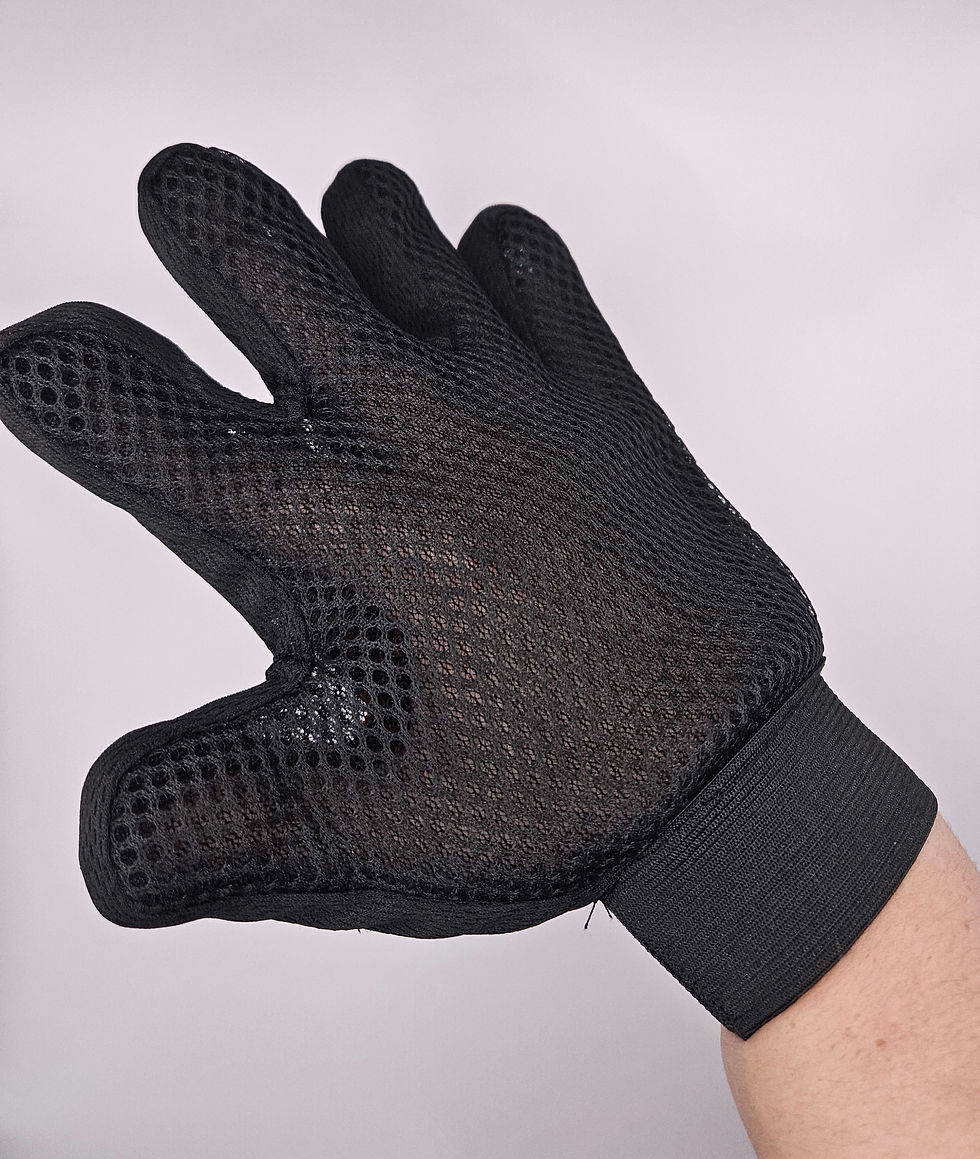 Thumbnail: Grooming Glove