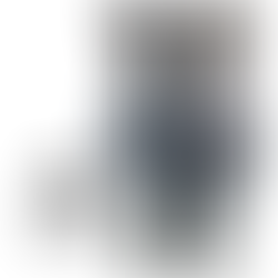 equine red light therapy