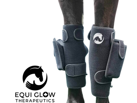 Sweet Itch & Rain Rot: How Red Light Therapy Transforms Common Equine Skin Conditions