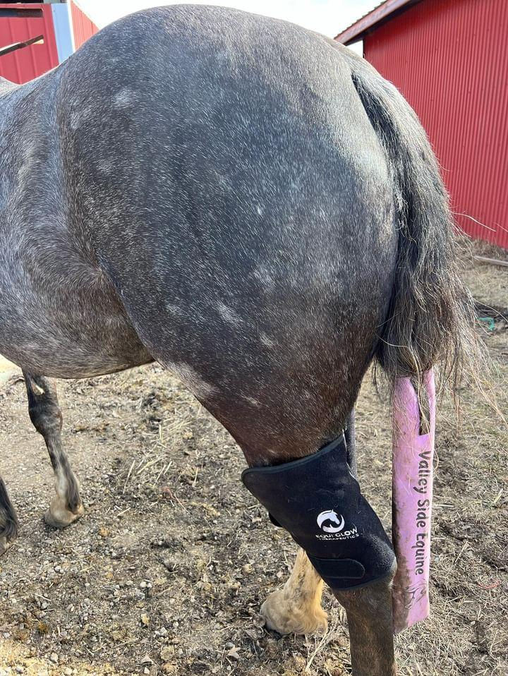 Thumbnail: 2.0 Leg Wraps (pair)