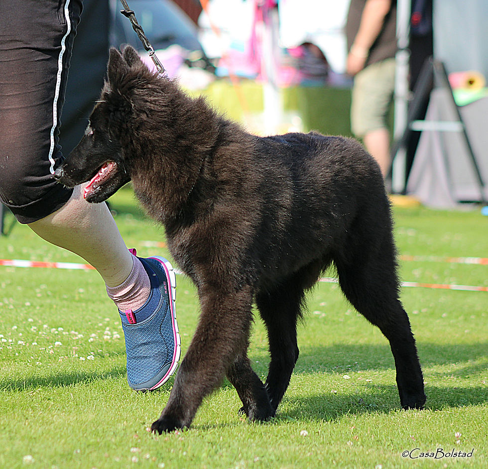 Aaravos De Kertanhyys