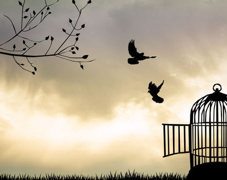 "Nous sommes condamnés à être libres"