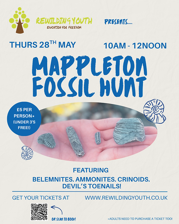 MAPPELTON FOSSIL HUNT.png