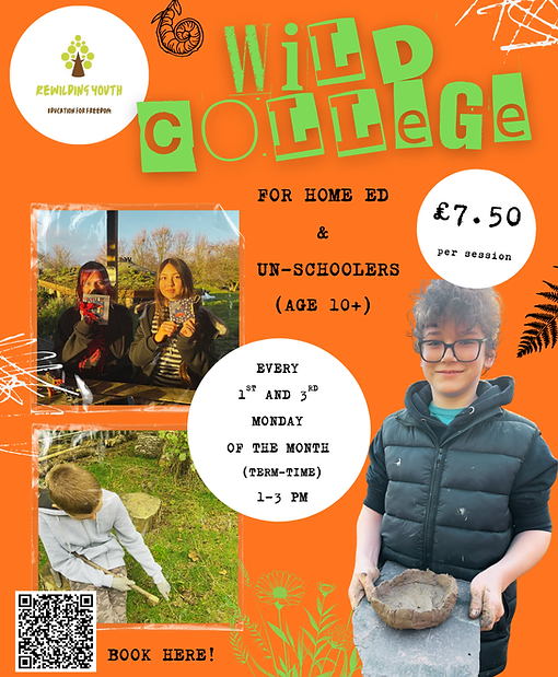 wild college (3).png