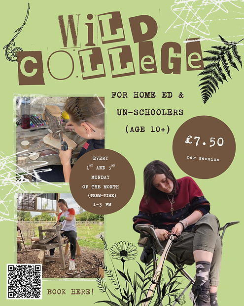 wild college (1).png