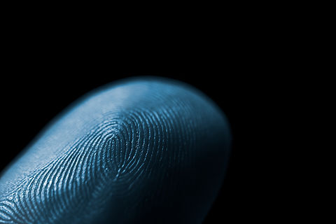 Close-up of blue color fingerprint texture of finger skin.jpg