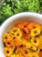 календула - zborovik.com.ua