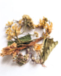 Трав'яний збір при фарингіті