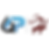 Untitled design (98).png