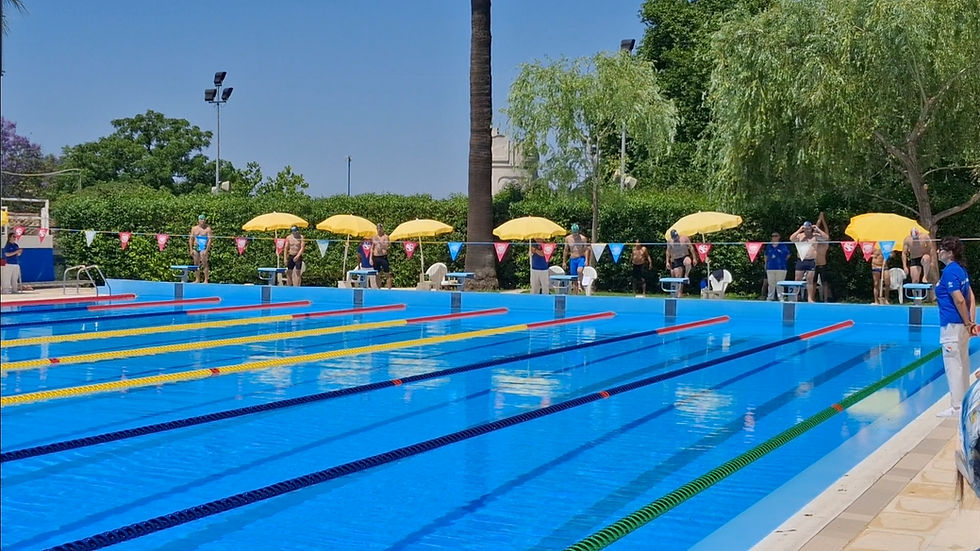 Back in the Pool