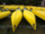 DSC06445.JPG