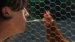 59aa05be-6457-4cd5-b7aa-97435e06bc65