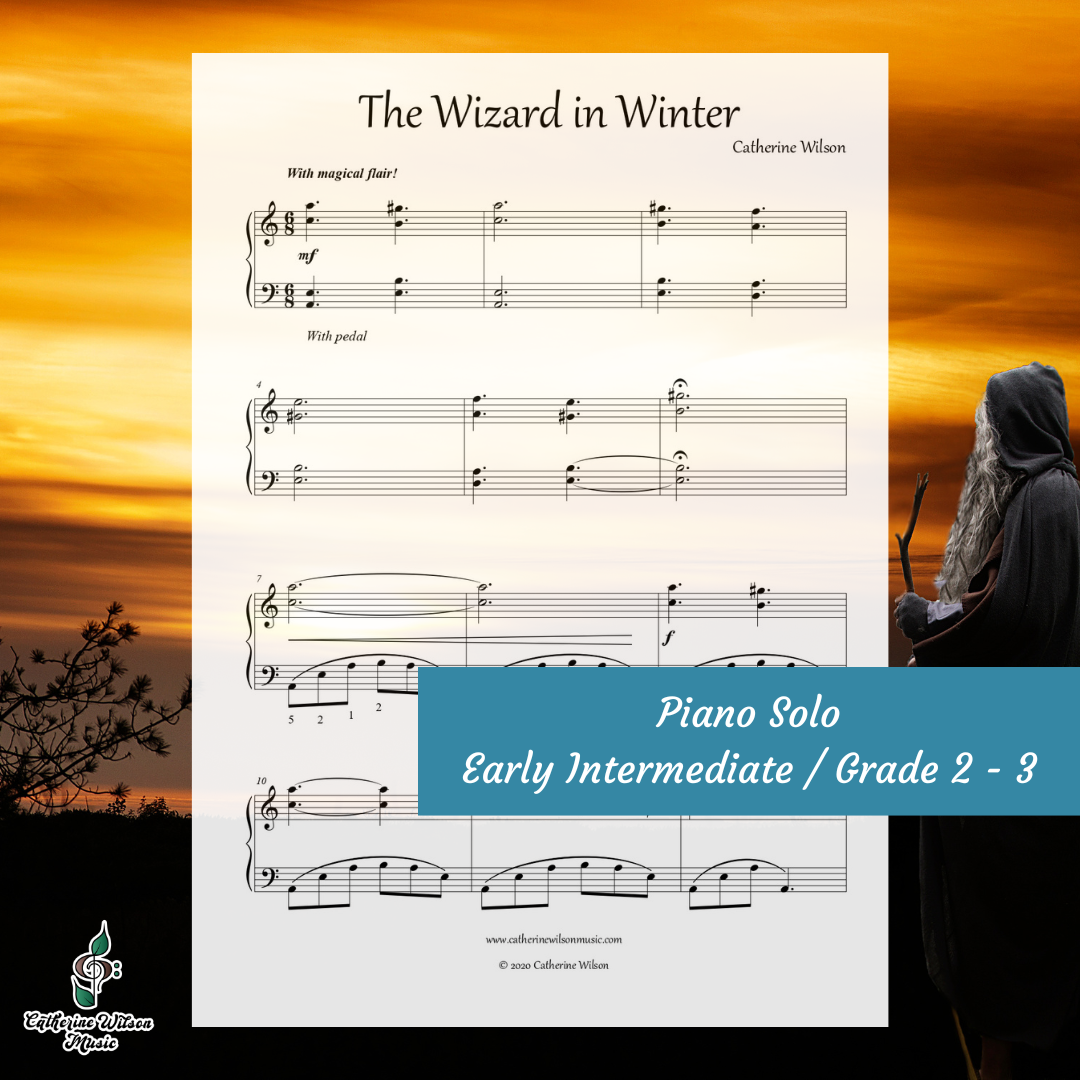 The Wizard in Winter (Single Use)