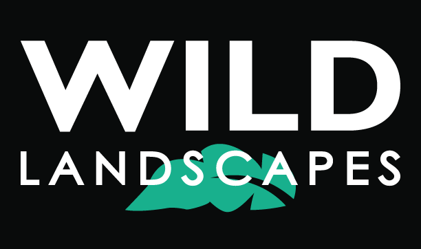 WILD_LOGO-web(1).gif