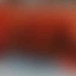 A meadow of florals with blues, reds, yellows and oranges to represent fire