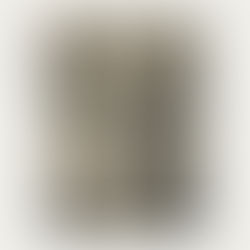 Praying the Stations of the Cross during Lent with Saint Alphonsus Liguori