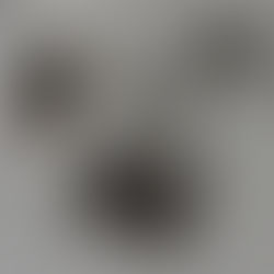 The Red Scapular of the Passion of Christ