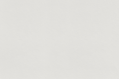 Paper texture_lunch white.png