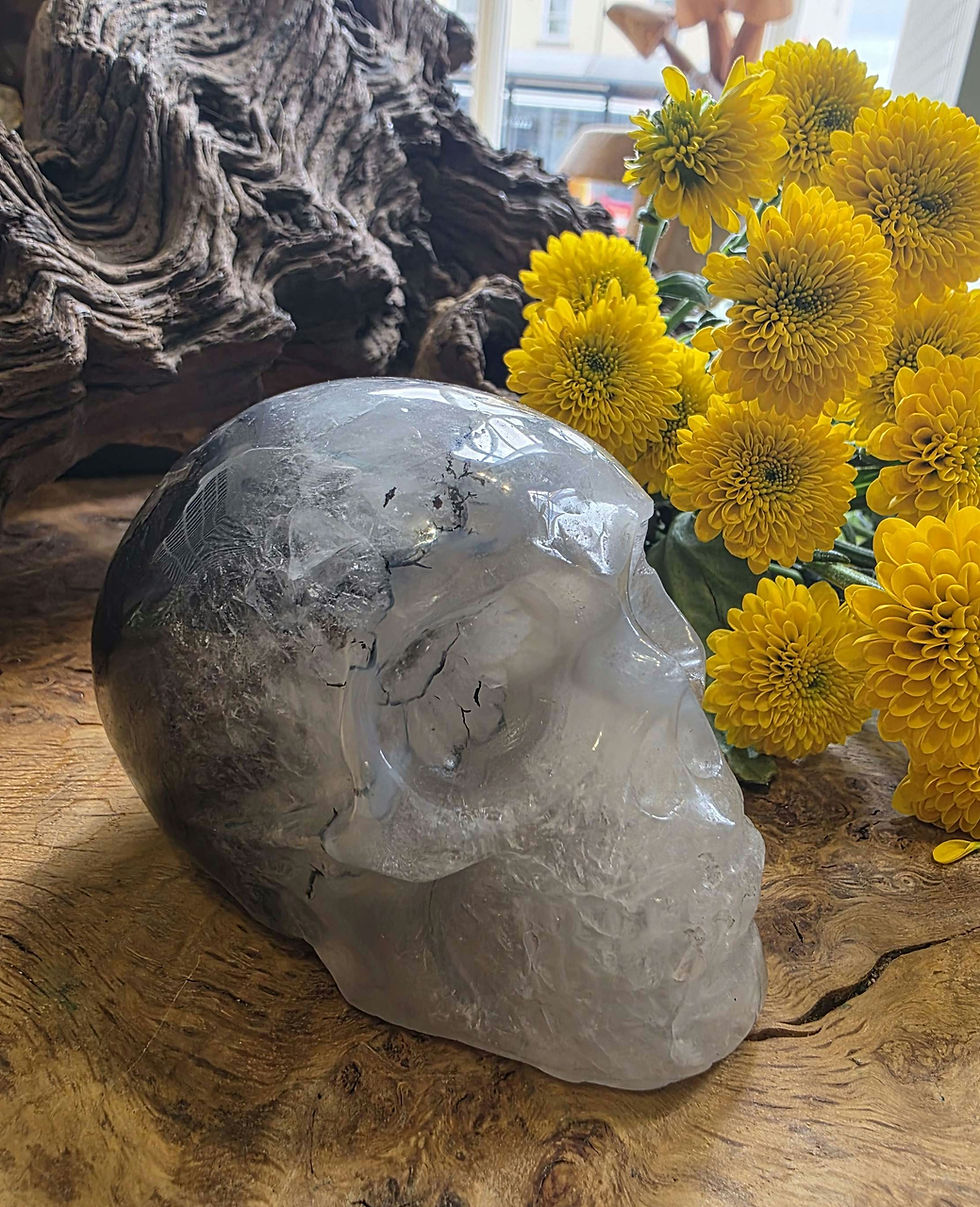 Thumbnail: Dendritic Agate Skull